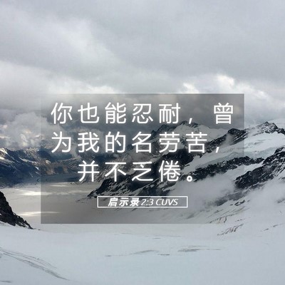 Picture 05 - 启 示 录 2:3 CUVS - 你 也 能 忍 耐 ， 曾 为 我 的 名 劳 - Bible Verse Picture
