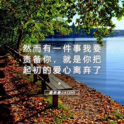 Picture 05 - 启 示 录 2:4 CUVS - 然 而 有 一 件 事 我 要 责 备 你 ， - Bible Verse Picture