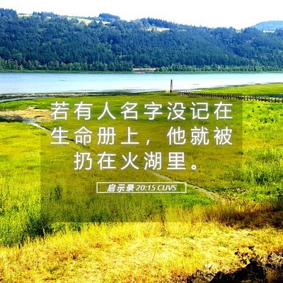 Picture 05 - 启 示 录 20:15 CUVS - 若 有 人 名 字 没 记 在 生 命 册 上 - Bible Verse Picture