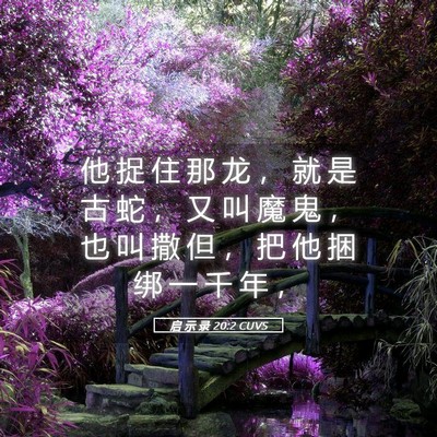 Picture 05 - 启 示 录 20:2 CUVS - 他 捉 住 那 龙 ， 就 是 古 蛇 ， 又 - Bible Verse Picture