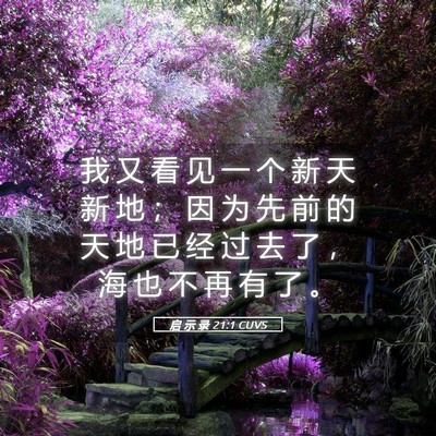 Picture 05 - 启 示 录 21:1 CUVS - 我 又 看 见 一 个 新 天 新 地 ； 因 - Bible Verse Picture