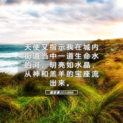 Picture 05 - 启 示 录 22:1 CUVS - 天 使 又 指 示 我 在 城 内 街 道 当 - Bible Verse Picture