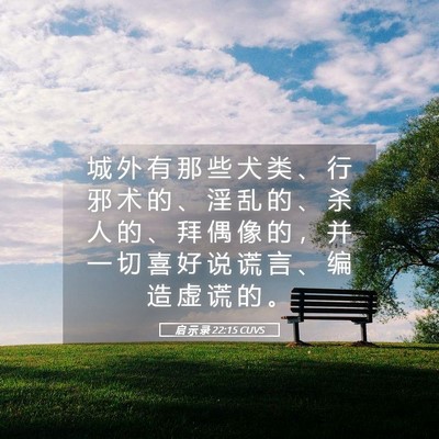 Picture 05 - 启 示 录 22:15 CUVS - 城 外 有 那 些 犬 类 、 行 邪 术 的 - Bible Verse Picture