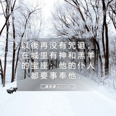 Picture 05 - 启 示 录 22:3 CUVS - 以 後 再 没 有 咒 诅 ； 在 城 里 有 - Bible Verse Picture