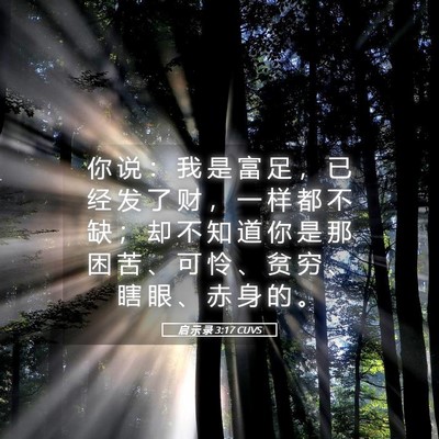Picture 05 - 启 示 录 3:17 CUVS - 你 说 ： 我 是 富 足 ， 已 经 发 了 - Bible Verse Picture