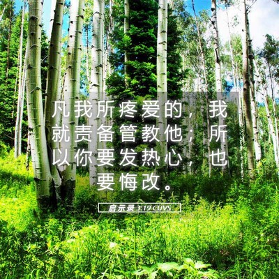 Picture 05 - 启 示 录 3:19 CUVS - 凡 我 所 疼 爱 的 ， 我 就 责 备 管 - Bible Verse Picture