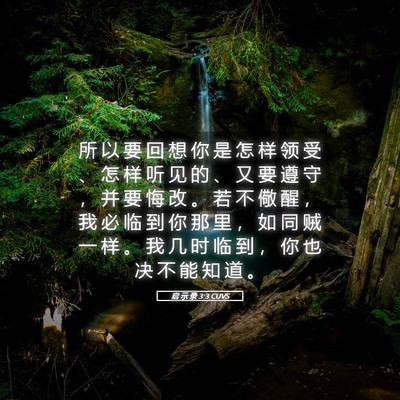 Picture 05 - 启 示 录 3:3 CUVS - 所 以 要 回 想 你 是 怎 样 领 受 、 - Bible Verse Picture