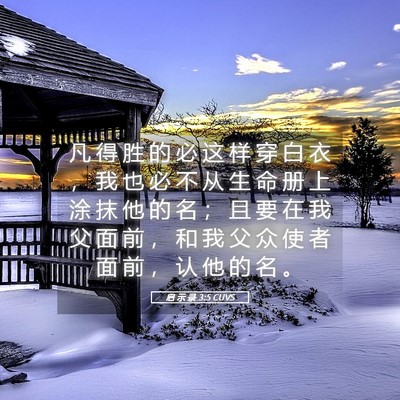 Picture 05 - 启 示 录 3:5 CUVS - 凡 得 胜 的 必 这 样 穿 白 衣 ， 我 - Bible Verse Picture