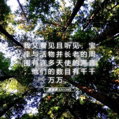 Picture 05 - 启 示 录 5:11 CUVS - 我 又 看 见 且 听 见 ， 宝 座 与 活 - Bible Verse Picture