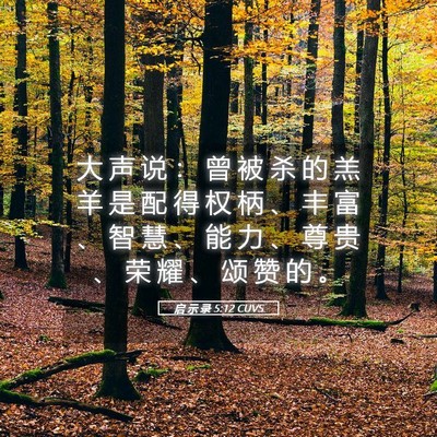 Picture 05 - 启 示 录 5:12 CUVS - 大 声 说 ： 曾 被 杀 的 羔 羊 是 配 - Bible Verse Picture