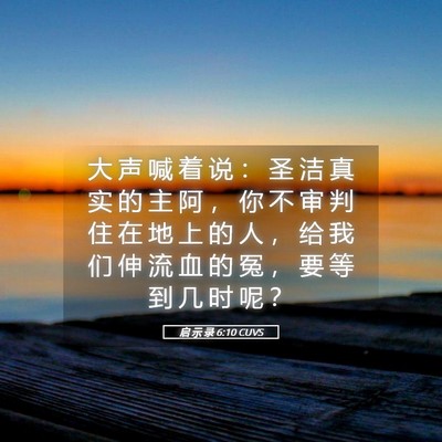 Picture 05 - 启 示 录 6:10 CUVS - 大 声 喊 着 说 ： 圣 洁 真 实 的 主 - Bible Verse Picture
