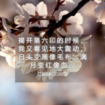 Picture 05 - 启 示 录 6:12 CUVS - 揭 开 第 六 印 的 时 候 ， 我 又 看 - Bible Verse Picture