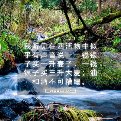 Picture 05 - 启 示 录 6:6 CUVS - 我 听 见 在 四 活 物 中 似 乎 有 声 - Bible Verse Picture