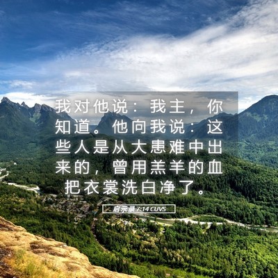 Picture 05 - 启 示 录 7:14 CUVS - 我 对 他 说 ： 我 主 ， 你 知 道 。 - Bible Verse Picture
