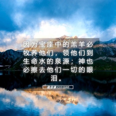 Picture 05 - 启 示 录 7:17 CUVS - 因 为 宝 座 中 的 羔 羊 必 牧 养 他 - Bible Verse Picture