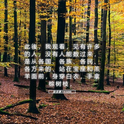 Picture 05 - 启 示 录 7:9 CUVS - 此 後 ， 我 观 看 ， 见 有 许 多 的 - Bible Verse Picture