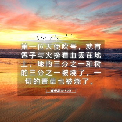 Picture 05 - 启 示 录 8:7 CUVS - 第 一 位 天 使 吹 号 ， 就 有 雹 子 - Bible Verse Picture