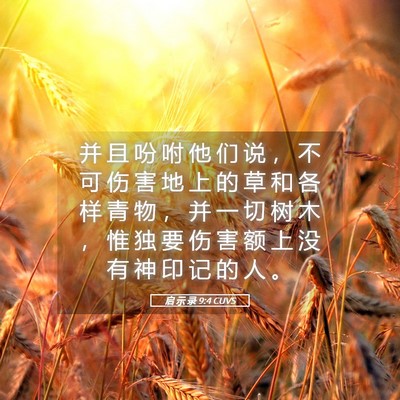 Picture 05 - 启 示 录 9:4 CUVS - 并 且 吩 咐 他 们 说 ， 不 可 伤 害 - Bible Verse Picture