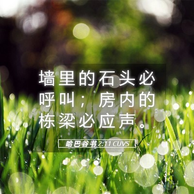 Picture 05 - 哈 巴 谷 书 2:11 CUVS - 墙 里 的 石 头 必 呼 叫 ； 房 内 的 - Bible Verse Picture