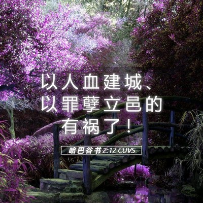 Picture 05 - 哈 巴 谷 书 2:12 CUVS - 以 人 血 建 城 、 以 罪 孽 立 邑 的 - Bible Verse Picture