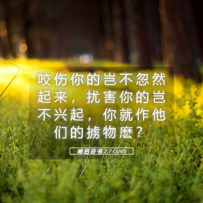 Picture 05 - 哈 巴 谷 书 2:7 CUVS - 咬 伤 你 的 岂 不 忽 然 起 来 ， 扰 - Bible Verse Picture