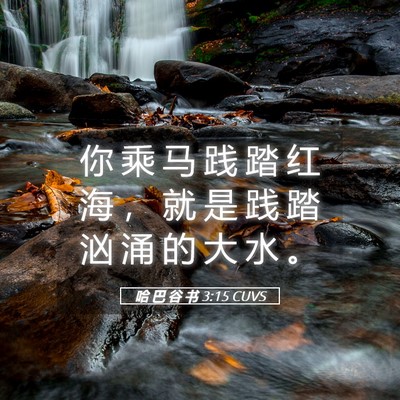 Picture 05 - 哈 巴 谷 书 3:15 CUVS - 你 乘 马 践 踏 红 海 ， 就 是 践 踏 - Bible Verse Picture