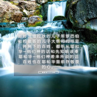 Picture 05 - 哈 该 书 1:12 CUVS - 那 时 ， 撒 拉 铁 的 儿 子 所 罗 巴 - Bible Verse Picture
