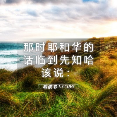 Picture 05 - 哈 该 书 1:3 CUVS - 那 时 耶 和 华 的 话 临 到 先 知 哈 - Bible Verse Picture