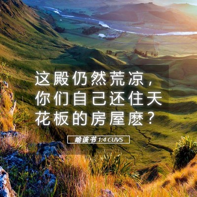 Picture 05 - 哈 该 书 1:4 CUVS - 这 殿 仍 然 荒 凉 ， 你 们 自 己 还 - Bible Verse Picture