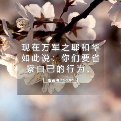 Picture 05 - 哈 该 书 1:5 CUVS - 现 在 万 军 之 耶 和 华 如 此 说 ： - Bible Verse Picture
