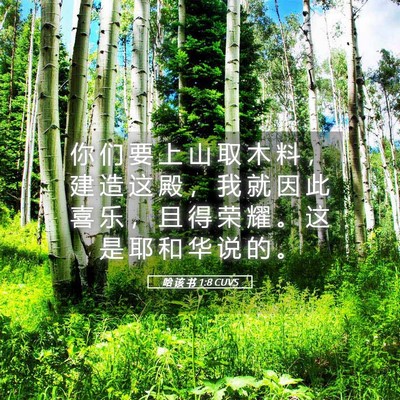 Picture 05 - 哈 该 书 1:8 CUVS - 你 们 要 上 山 取 木 料 ， 建 造 这 - Bible Verse Picture