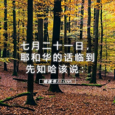 Picture 05 - 哈 该 书 2:1 CUVS - 七 月 二 十 一 日 ， 耶 和 华 的 话 - Bible Verse Picture