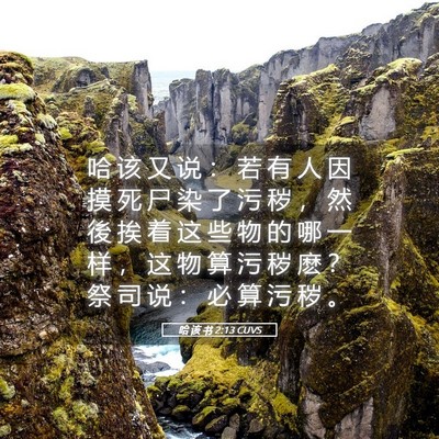 Picture 05 - 哈 该 书 2:13 CUVS - 哈 该 又 说 ： 若 有 人 因 摸 死 尸 - Bible Verse Picture