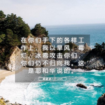 Picture 05 - 哈 该 书 2:17 CUVS - 在 你 们 手 下 的 各 样 工 作 上 ， - Bible Verse Picture