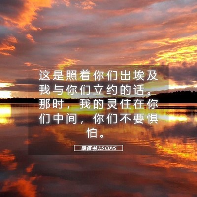 Picture 05 - 哈 该 书 2:5 CUVS - 这 是 照 着 你 们 出 埃 及 我 与 你 - Bible Verse Picture