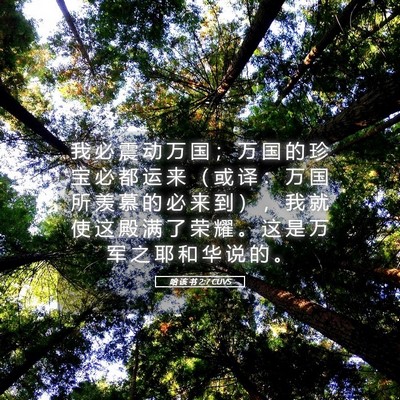 Picture 05 - 哈 该 书 2:7 CUVS - 我 必 震 动 万 国 ； 万 国 的 珍 宝 - Bible Verse Picture