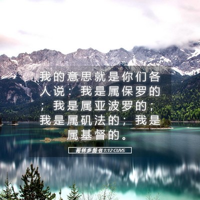 Picture 05 - 哥 林 多 前 书 1:12 CUVS - 我 的 意 思 就 是 你 们 各 人 说 ： - Bible Verse Picture