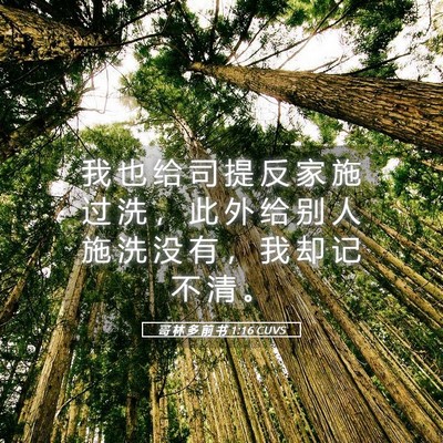 Picture 05 - 哥 林 多 前 书 1:16 CUVS - 我 也 给 司 提 反 家 施 过 洗 ， 此 - Bible Verse Picture