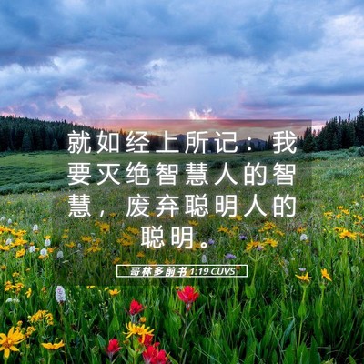 Picture 05 - 哥 林 多 前 书 1:19 CUVS - 就 如 经 上 所 记 ： 我 要 灭 绝 智 - Bible Verse Picture