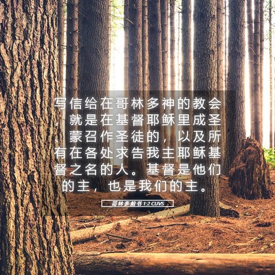 Picture 05 - 哥 林 多 前 书 1:2 CUVS - 写 信 给 在 哥 林 多 神 的 教 会 ， - Bible Verse Picture