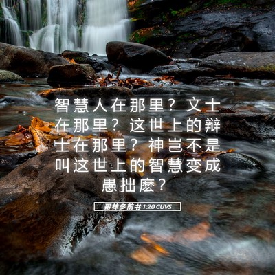 Picture 05 - 哥 林 多 前 书 1:20 CUVS - 智 慧 人 在 那 里 ？ 文 士 在 那 里 - Bible Verse Picture