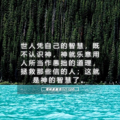 Picture 05 - 哥 林 多 前 书 1:21 CUVS - 世 人 凭 自 己 的 智 慧 ， 既 不 认 - Bible Verse Picture