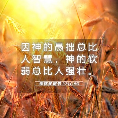 Picture 05 - 哥 林 多 前 书 1:25 CUVS - 因 神 的 愚 拙 总 比 人 智 慧 ， 神 - Bible Verse Picture