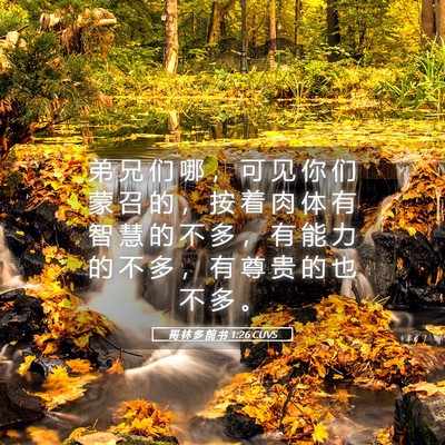 Picture 05 - 哥 林 多 前 书 1:26 CUVS - 弟 兄 们 哪 ， 可 见 你 们 蒙 召 的 - Bible Verse Picture
