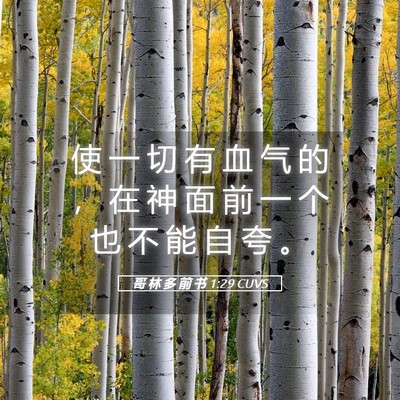 Picture 05 - 哥 林 多 前 书 1:29 CUVS - 使 一 切 有 血 气 的 ， 在 神 面 前 - Bible Verse Picture