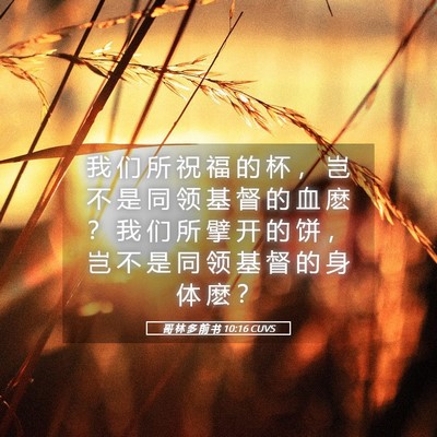 Picture 05 - 哥 林 多 前 书 10:16 CUVS - 我 们 所 祝 福 的 杯 ， 岂 不 是 同 - Bible Verse Picture