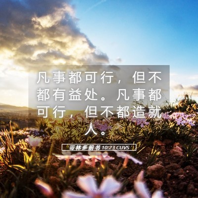 Picture 05 - 哥 林 多 前 书 10:23 CUVS - 凡 事 都 可 行 ， 但 不 都 有 益 处 - Bible Verse Picture
