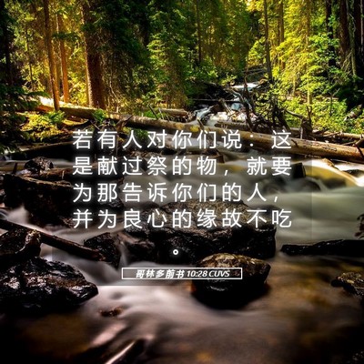 Picture 05 - 哥 林 多 前 书 10:28 CUVS - 若 有 人 对 你 们 说 ： 这 是 献 过 - Bible Verse Picture