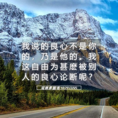Picture 05 - 哥 林 多 前 书 10:29 CUVS - 我 说 的 良 心 不 是 你 的 ， 乃 是 - Bible Verse Picture