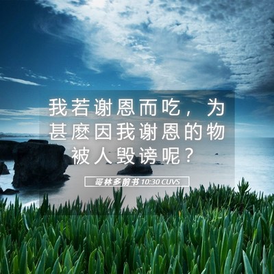 Picture 05 - 哥 林 多 前 书 10:30 CUVS - 我 若 谢 恩 而 吃 ， 为 甚 麽 因 我 - Bible Verse Picture